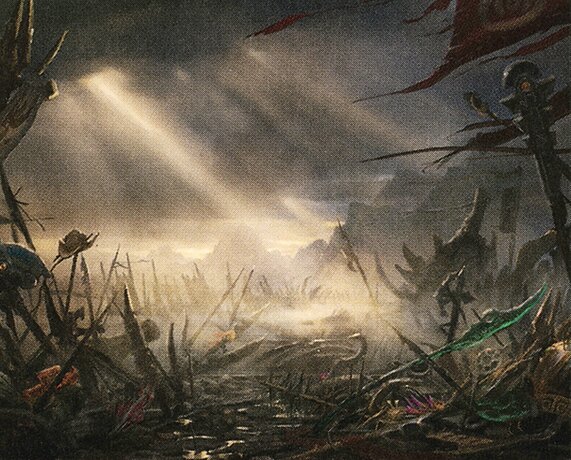 Field of Ruin