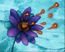 Lotus Bloom
