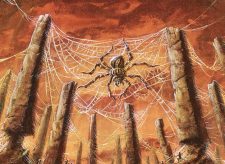 Needlepeak Spider