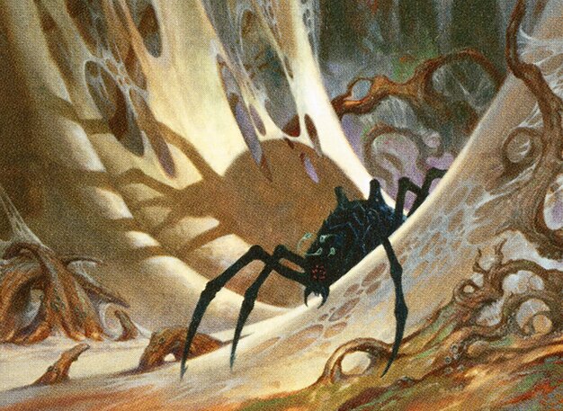 Penumbra Spider