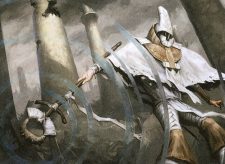 Saltfield Recluse