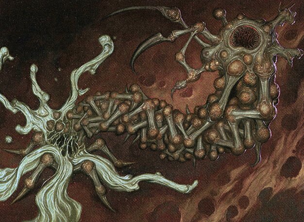 Shaper Parasite