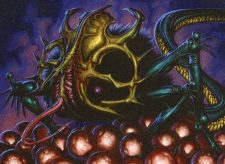 Skittering Monstrosity