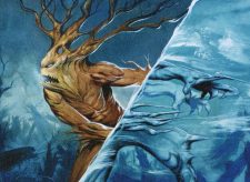 Wipe Away