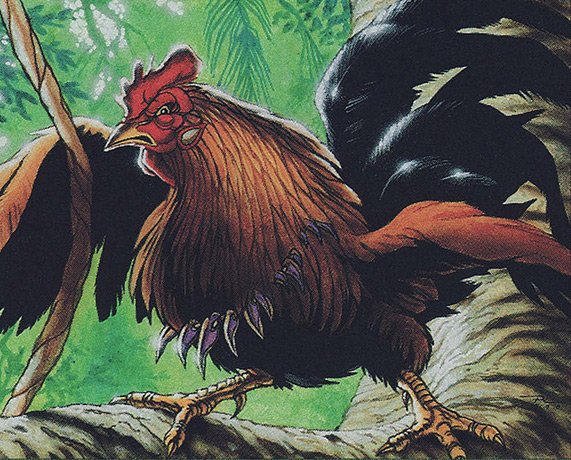 Free-Range Chicken