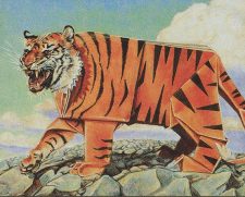 Paper Tiger
