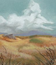 Plains