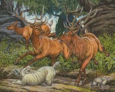 Gang of Elk