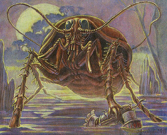 Giant Cockroach