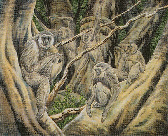 Hidden Gibbons