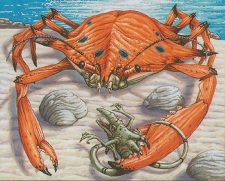 King Crab