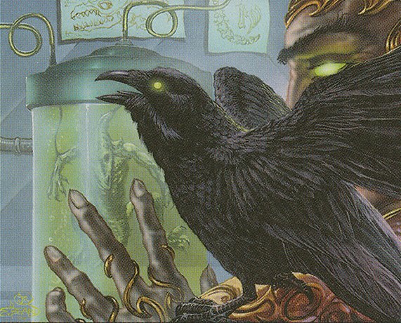 Raven Familiar