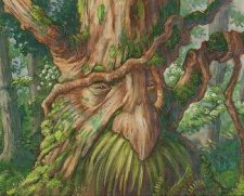 Treefolk Mystic
