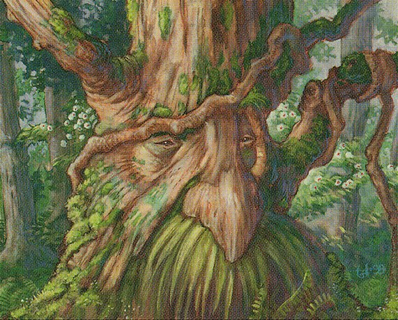 Treefolk Mystic