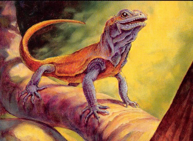 Basking Rootwalla