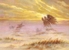 Mistveil Plains