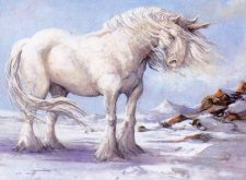 Ronom Unicorn