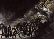 Spider Spawning