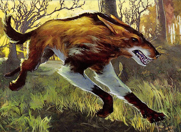 Wild Mongrel