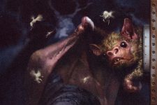 Bat-