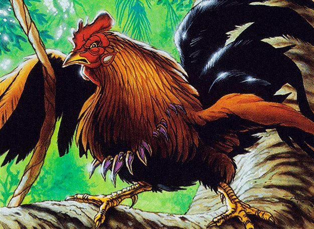 Free-Range Chicken