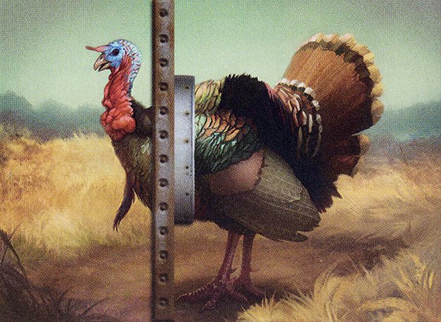 Strutting Turkey