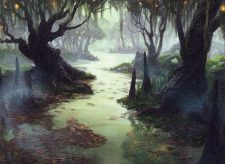 Swamp