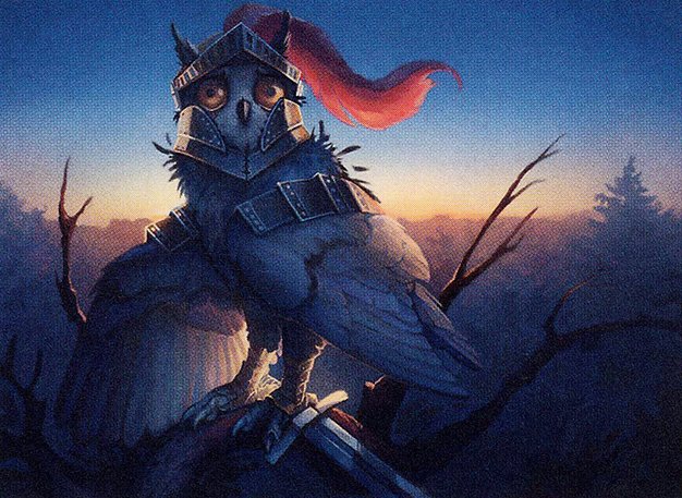 Syr Cadian, Knight Owl