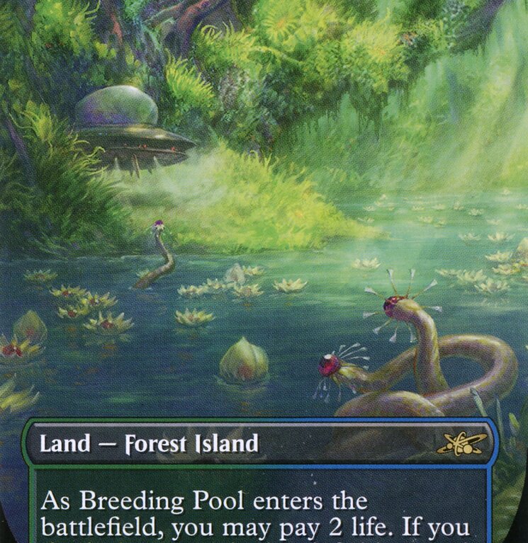 Breeding Pool