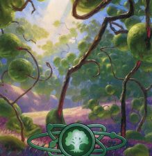 Forest