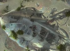 Overgrown Tomb