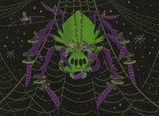 Spinnerette, Arachnobat