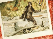 Assquatch