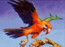 Carnivorous Death-Parrot