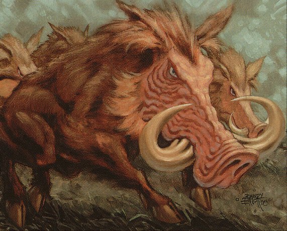 Argothian Swine