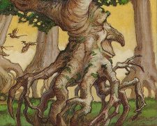 Blanchwood Treefolk