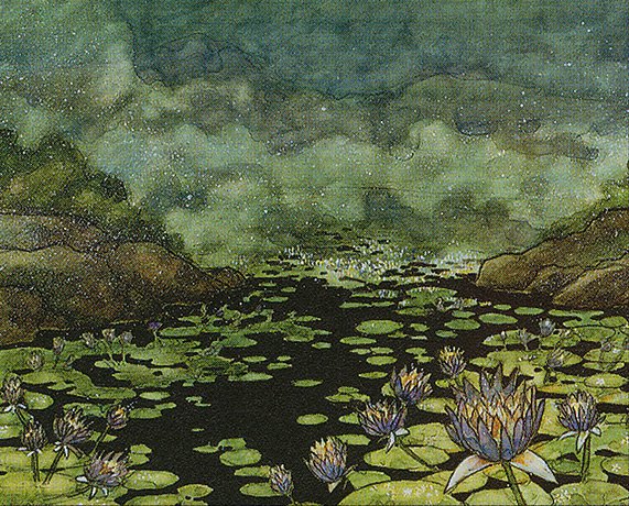 Carpet of Flowers