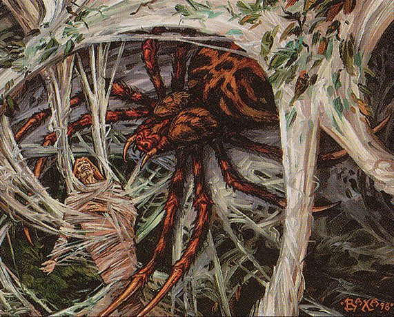 Hidden Spider