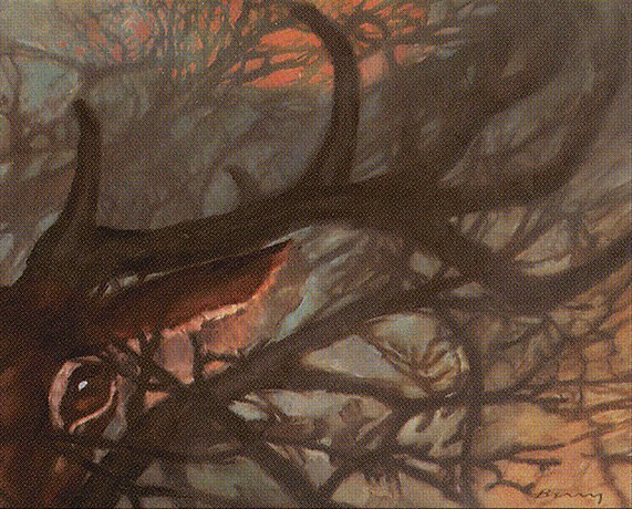 Hidden Stag