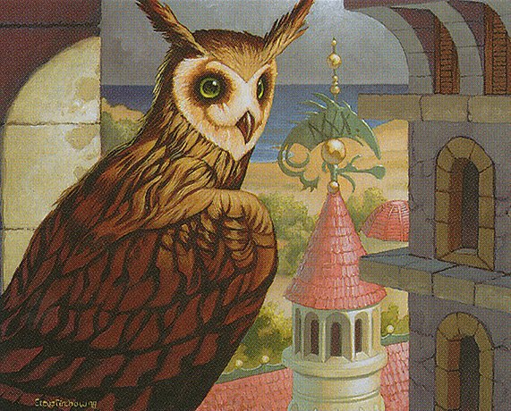 Spire Owl