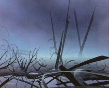 Swamp
