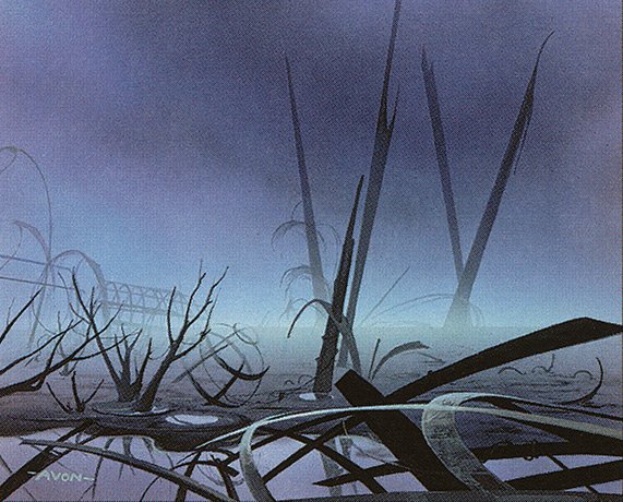 Swamp