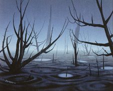Swamp