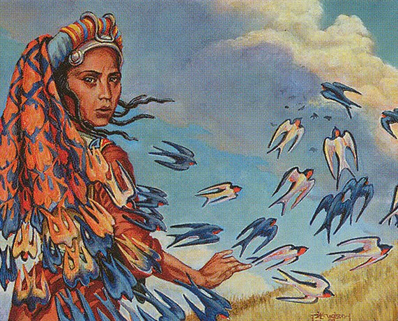 Veil of Birds