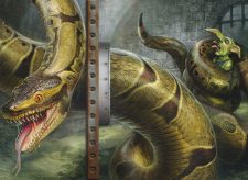 Big Boa Constrictor