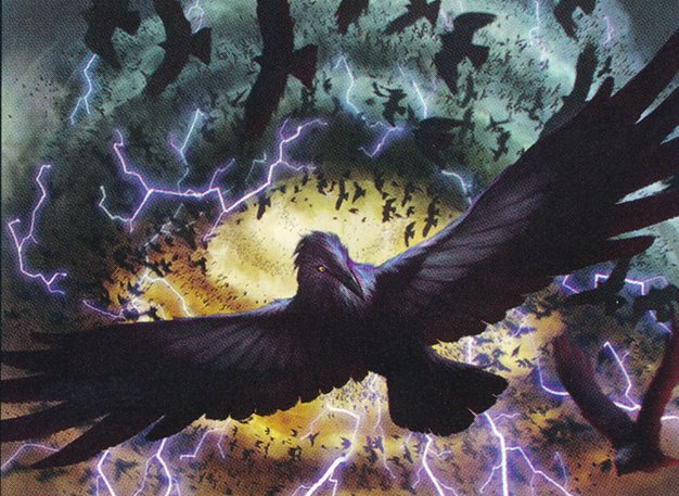 Crow Storm