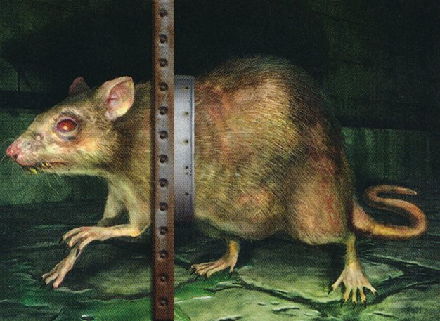 Dirty Rat