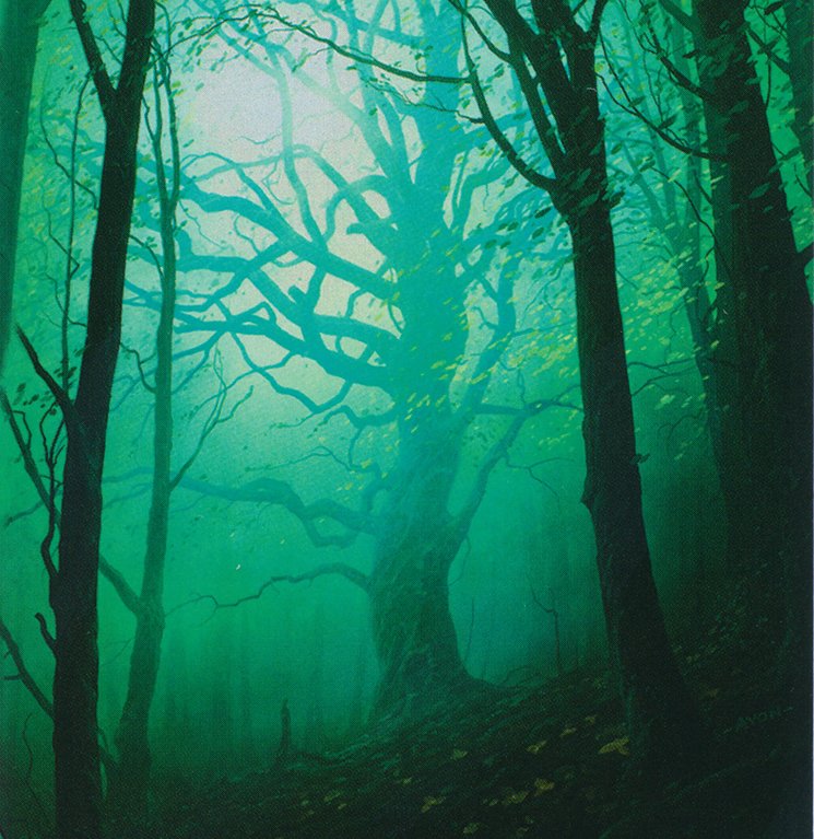 Forest