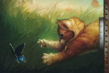 Half-Kitten, Half-