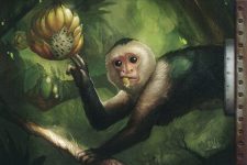 Monkey-